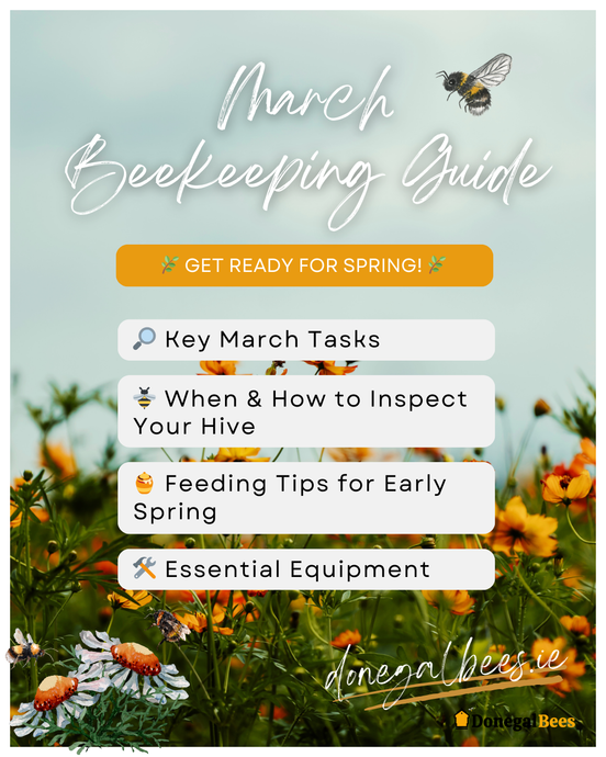 March Beekeeping Guide 2025