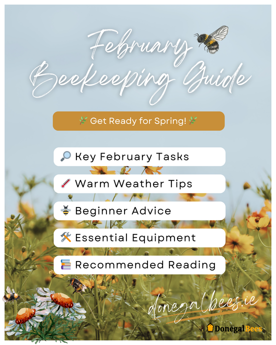 February Beekeeping Guide 2025