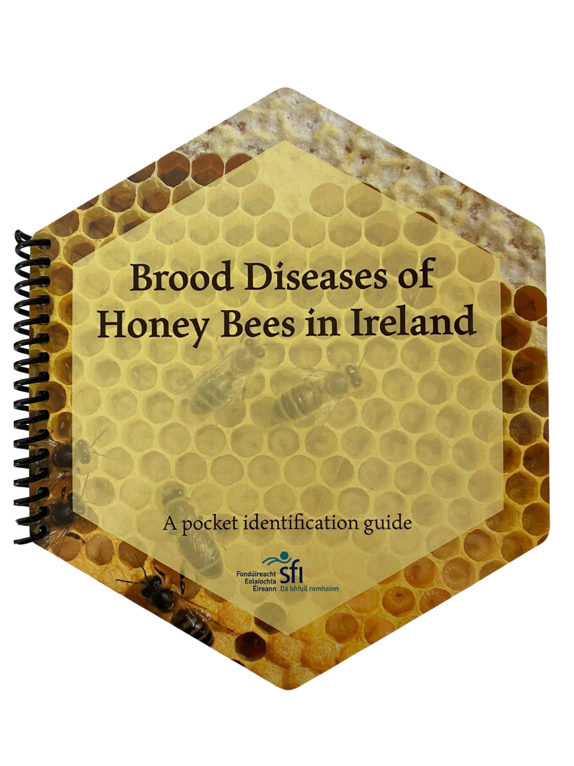 Book: Brood Diseases of Honeybees in Ireland