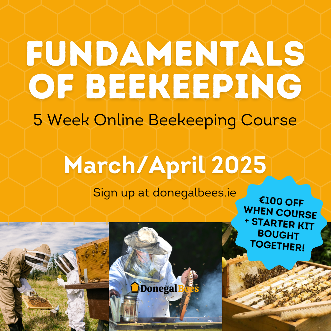 Fundamentals of Beekeeping Online Course