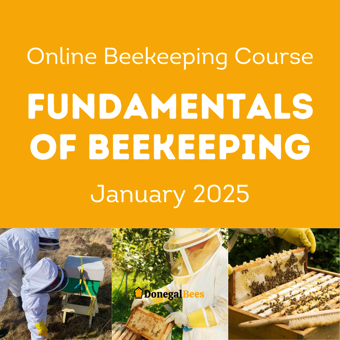 Fundamentals of Beekeeping Online Course