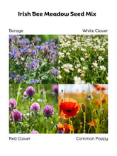 Load image into Gallery viewer, Irish Bee Meadow Seed Mix 30g
