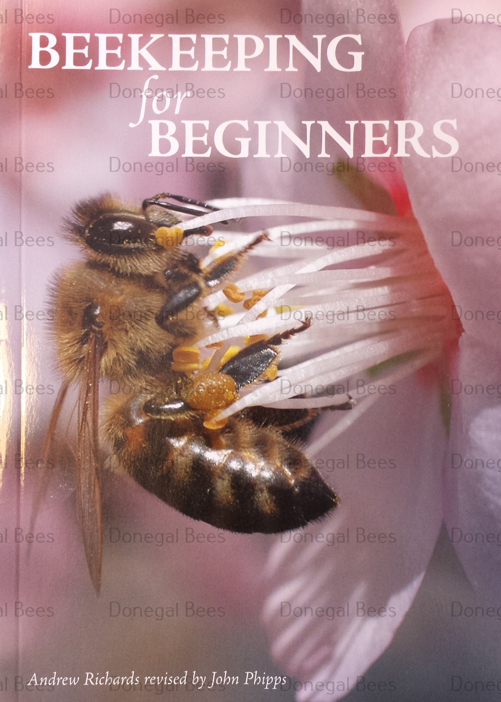 A Beginner's Guide to Bee and Wasp Protective Clothing